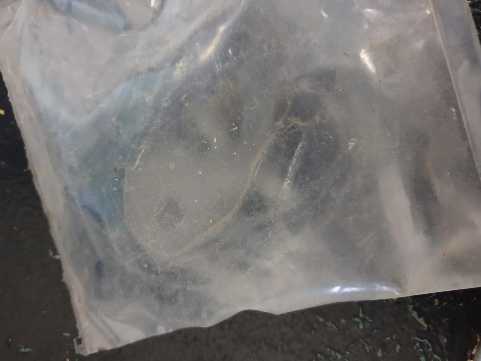 View Auto part Misc Switch/Relay Ford Laser 1994