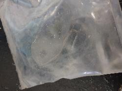 View Auto part Misc Switch/Relay Ford Laser 1994