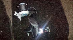 View Auto part Seatbelt/Stalk Honda Jazz 2007