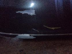 View Auto part Rear Bumper Holden Commodore 2002