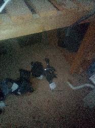 View Auto part Gear Stick/Shifter Holden Commodore 2014