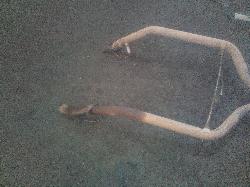 View Auto part Seatbelt/Stalk Holden Commodore 2009