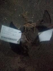 View Auto part Right Front Hub Assembly Holden Commodore 2008