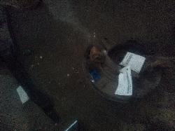 View Auto part Abs Sensor Holden Commodore 2008