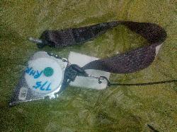 View Auto part Seatbelt/Stalk Holden Commodore 2017