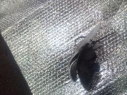 View Auto part Door Handle Holden Commodore 2004