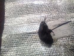 View Auto part Door Handle Holden Commodore 2004