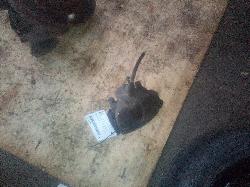 View Auto part Caliper Mazda 3 2004