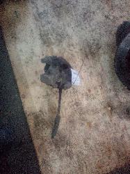 View Auto part Caliper Mazda 3 2004