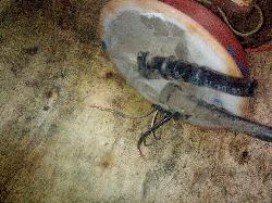 View Auto part Fuel Pump Mazda 3 2004