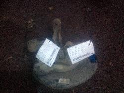 View Auto part Abs Sensor Toyota Camry 2014